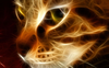 avatar – kucing