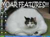 avatar – Feature Cat